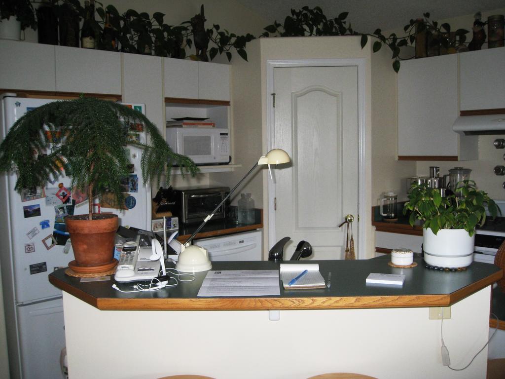 Avens Renaissance B&B Canmore Dış mekan fotoğraf